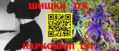 индика Партизанск