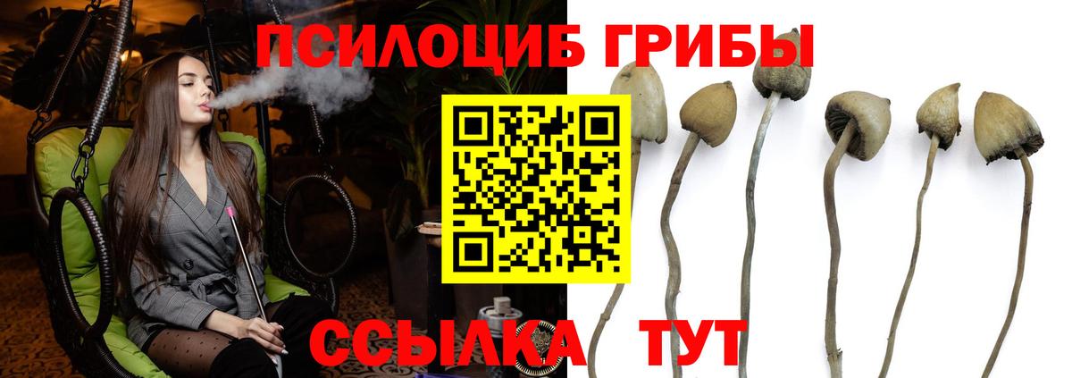 Галлюциногенные грибы мухоморы  Вход с VPN  Семёнов 
